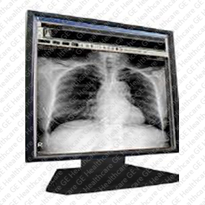 GDS LCD MONITOR 19 INCH GDS LCD MONITOR 19 INCH