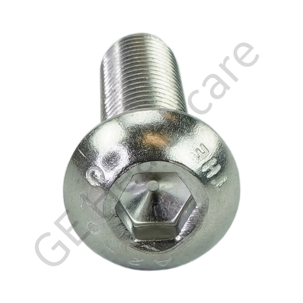 Screw M12 Socket Head SST Screw M12 Socket Head SST